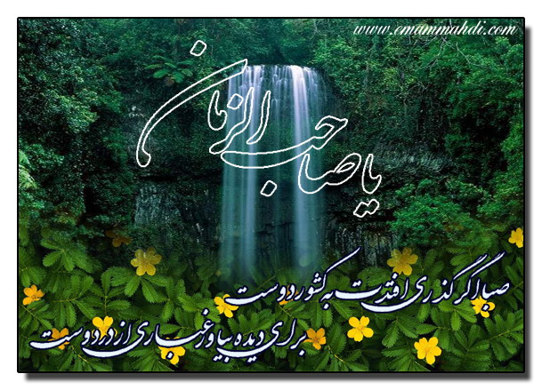 یا اباصالح