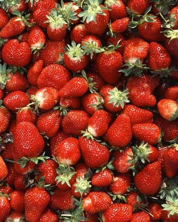img/daneshnameh_up/b/bd/strawberries1.jpg